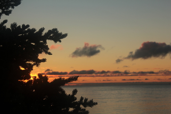 Acadia National Park