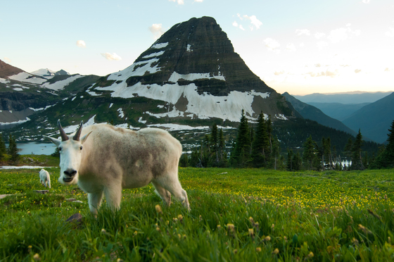 Glacier National Park