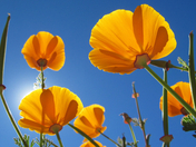 Rocky Mountain National Park