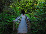 Haleakala National Park