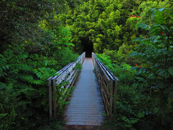 Haleakala National Park