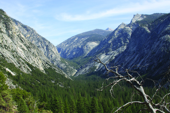 Kings Canyon National Park