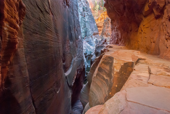 Zion National Park