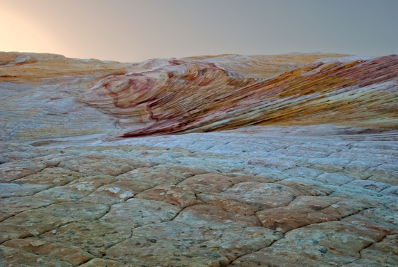 BLM Beauty