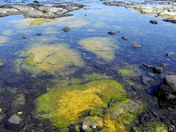 Kaloko Honokohau National Historic Park