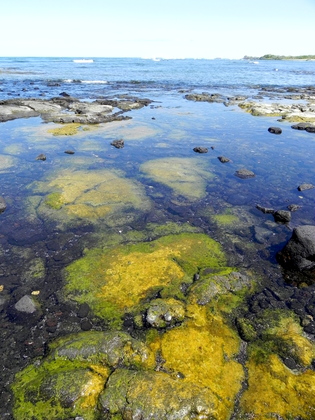 Kaloko Honokohau National Historic Park