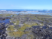 Kaloko Honokohau National Historic Park