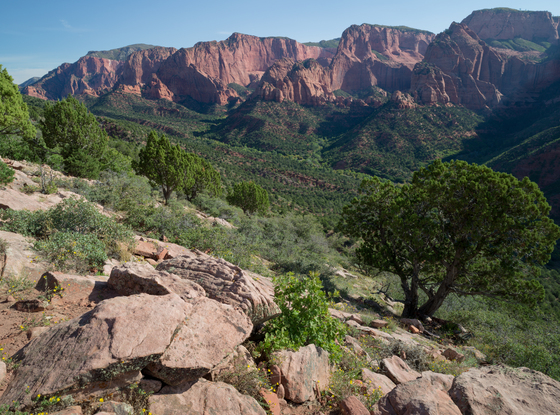 Zion National Park