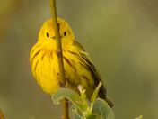 Grand Teton National Park 