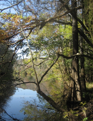 Congaree National Park