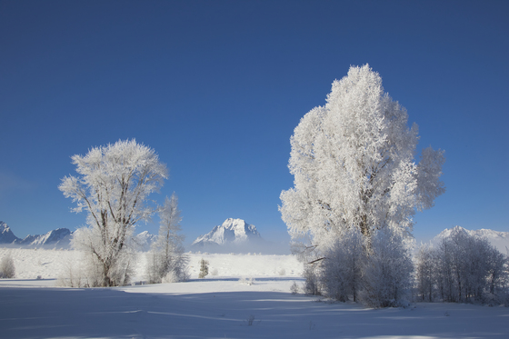 Grand Teton National Park 