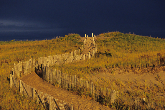 Cape Cod National Seashore
