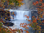 Daniel Boone National Forest