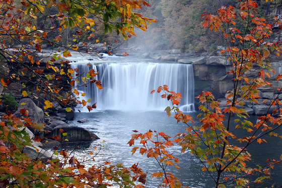 Daniel Boone National Forest