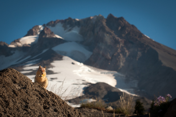 Mt. Hood, Oregon