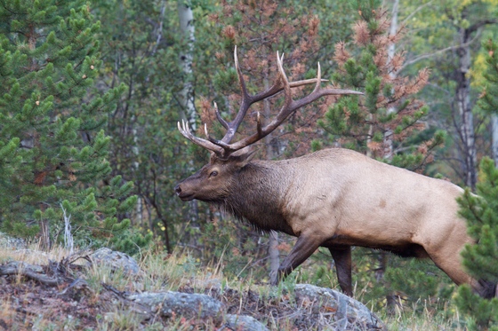 Rocky Mountain National Park