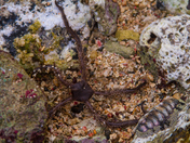 Virgin Islands National Park