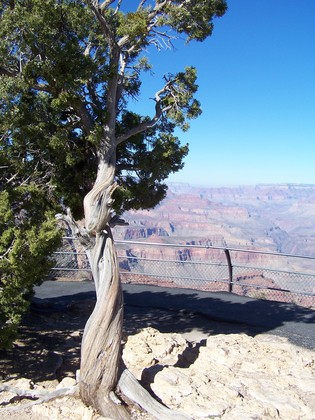 Grand Canyon