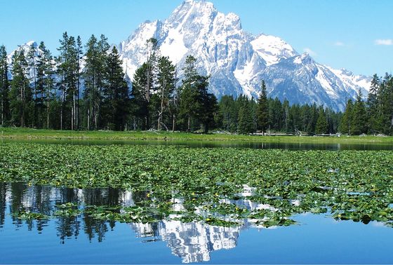 Grand Teton Lake
