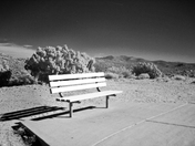 Joshua Tree National Park