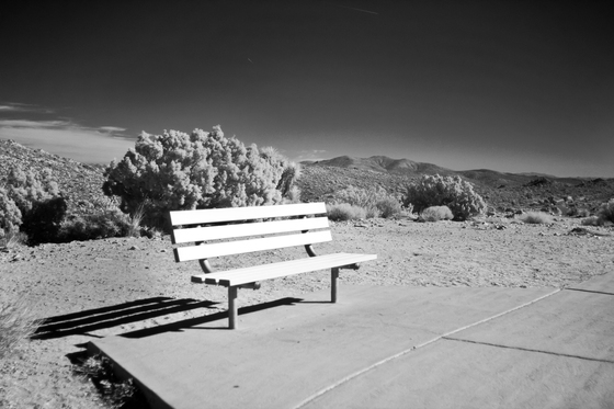 Joshua Tree National Park