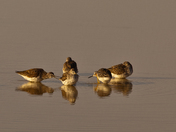 Summer Lake National Wildlife Refuge