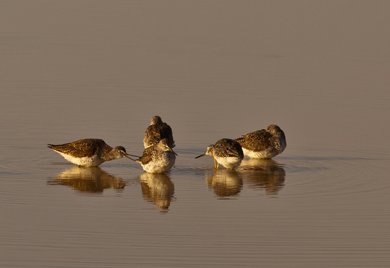 Summer Lake National Wildlife Refuge