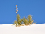 White Sands National Monument