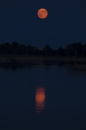Prime Hook National Wildlife Refuge