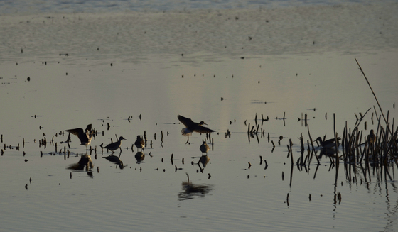 Prime Hook National Wildlife Refuge
