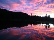 Mt Rainer National Park