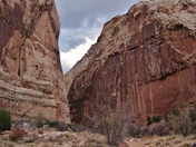 Capitol Reef National Park