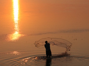 Aransas National Wildlife Refuge