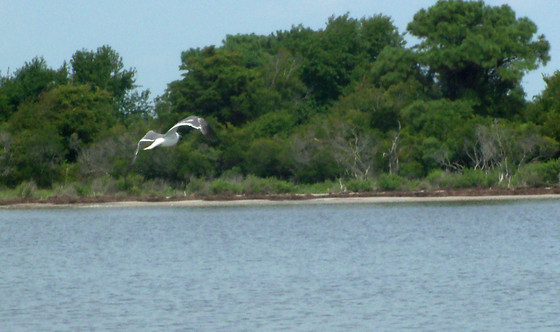 Assateague Island National Seashore
