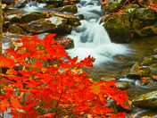 Great Smoky Mountains NP