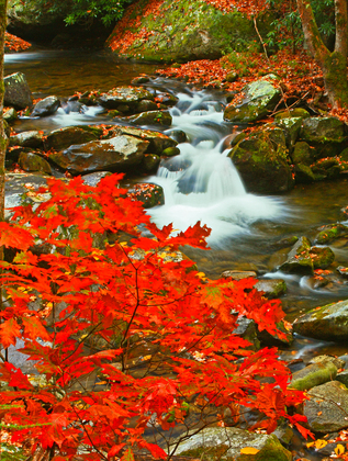 Great Smoky Mountains NP