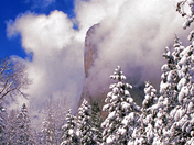Yosemite NP