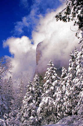 Yosemite NP