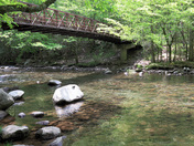 Great Smoky Mountains National Park