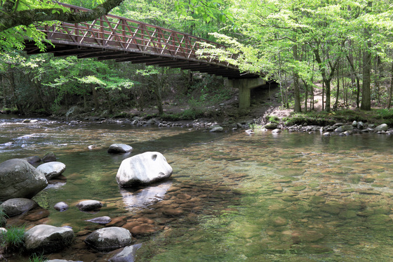 Great Smoky Mountains National Park