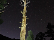 Kings Canyon National Park