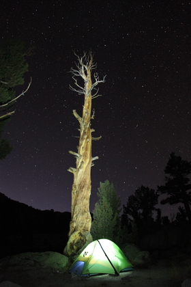 Kings Canyon National Park