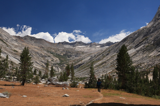 Kings Canyon National Park