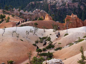 Bryce Canyon National Park