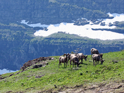 Glacier National Park