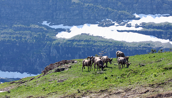 Glacier National Park