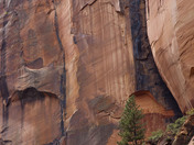 Zion National Park