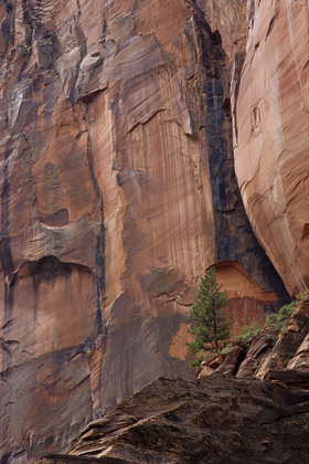 Zion National Park