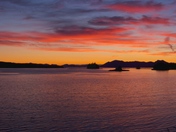 Tongass National Forest
