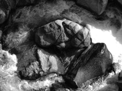 Bighorn National Forest